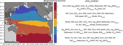 The increasing big gap of carbon sink between the western and eastern Pacific in the last three decades